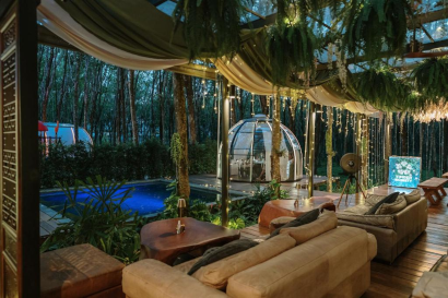 Glamping Timber Society, домик